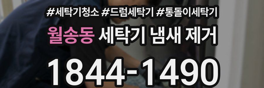 월송동 세탁기 냄새 제거