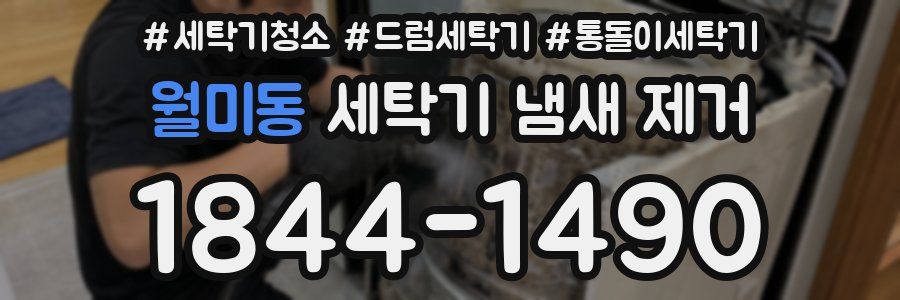월미동 세탁기 냄새 제거
