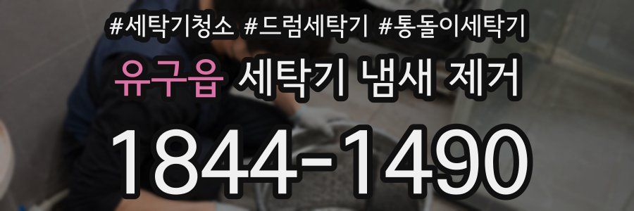유구읍 세탁기 냄새 제거