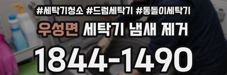 우성면 세탁기 냄새 제거