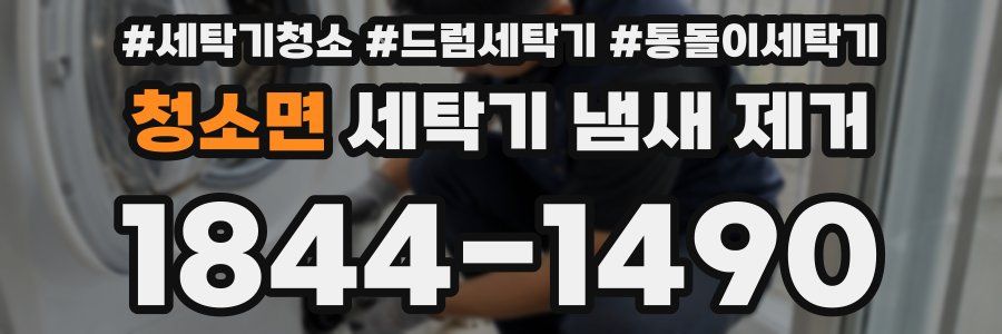청소면 세탁기 냄새 제거