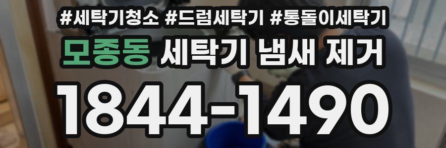 모종동 세탁기 냄새 제거