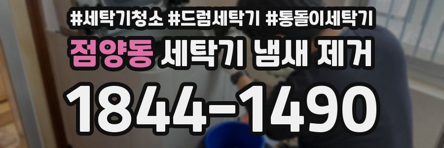 점양동 세탁기 냄새 제거