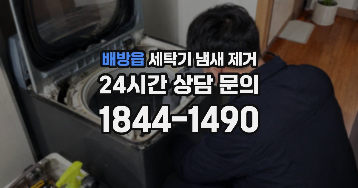 배방읍 세탁기 냄새 제거