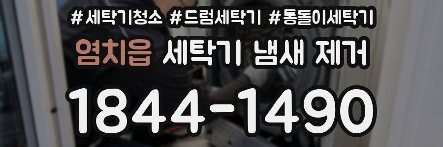염치읍 세탁기 냄새 제거