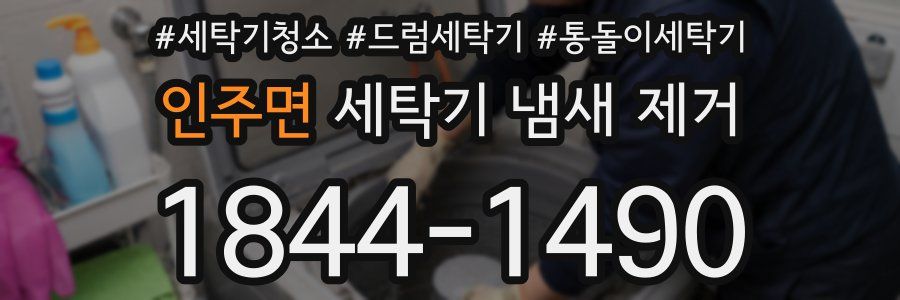 인주면 세탁기 냄새 제거