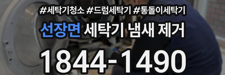 선장면 세탁기 냄새 제거