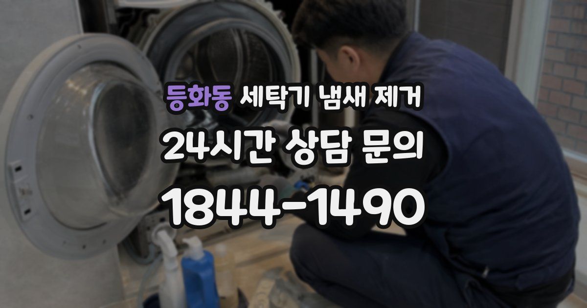 등화동 세탁기 냄새 제거