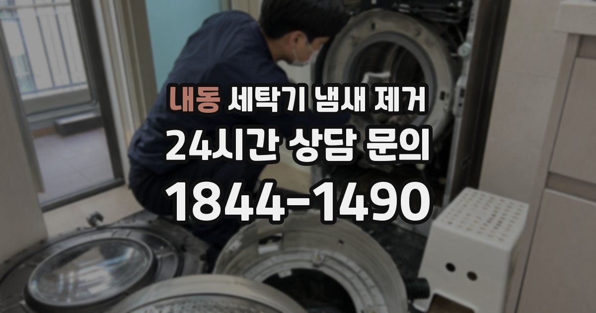 내동 세탁기 냄새 제거