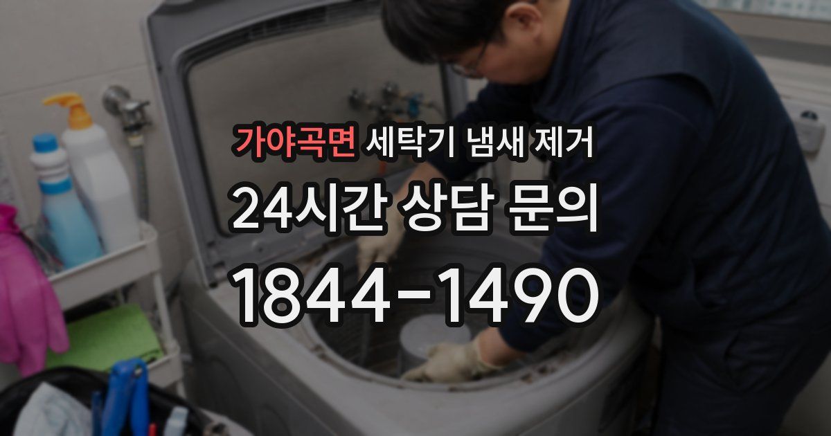 가야곡면 세탁기 냄새 제거
