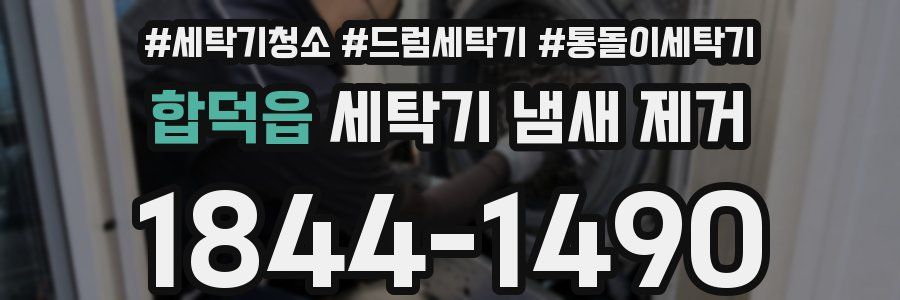 합덕읍 세탁기 냄새 제거