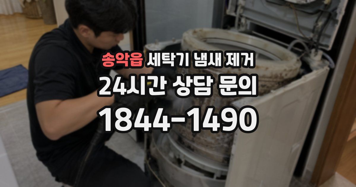 송악읍 세탁기 냄새 제거
