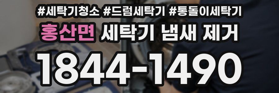 홍산면 세탁기 냄새 제거