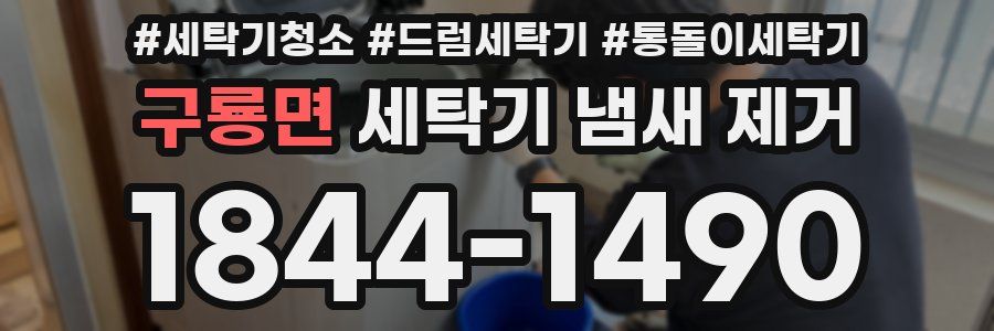구룡면 세탁기 냄새 제거