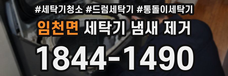 임천면 세탁기 냄새 제거