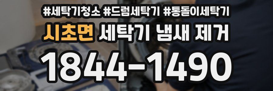 시초면 세탁기 냄새 제거