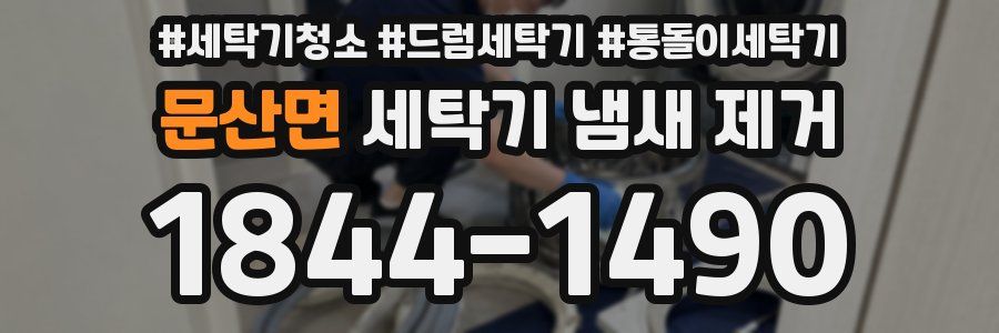 문산면 세탁기 냄새 제거