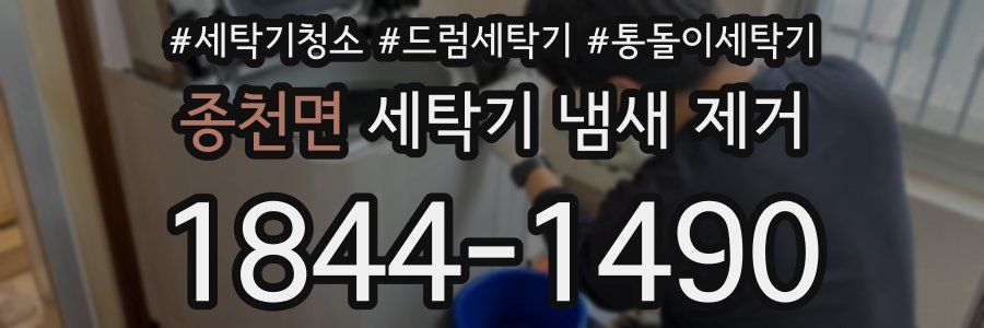 종천면 세탁기 냄새 제거