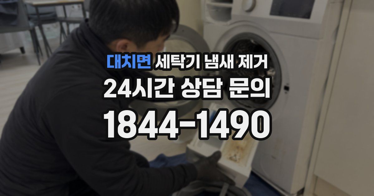 대치면 세탁기 냄새 제거