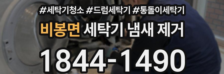 비봉면 세탁기 냄새 제거