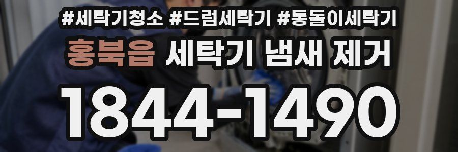 홍북읍 세탁기 냄새 제거
