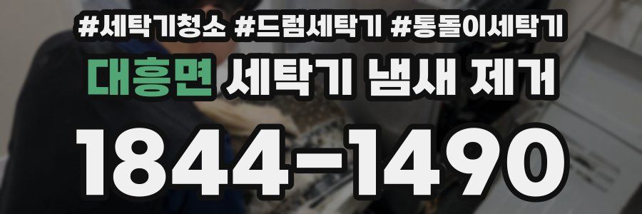 대흥면 세탁기 냄새 제거
