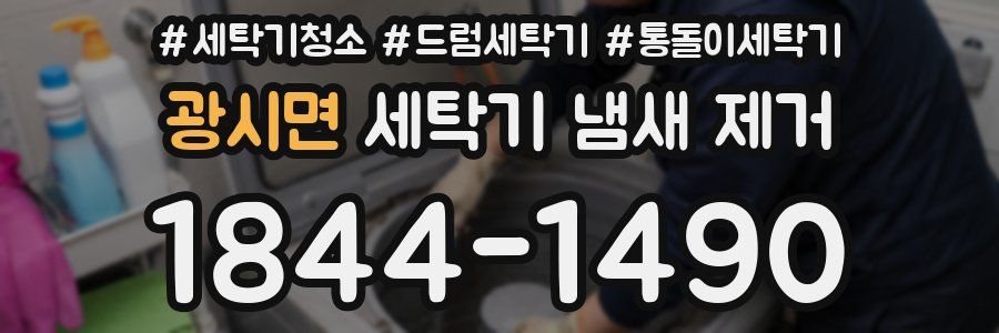 광시면 세탁기 냄새 제거