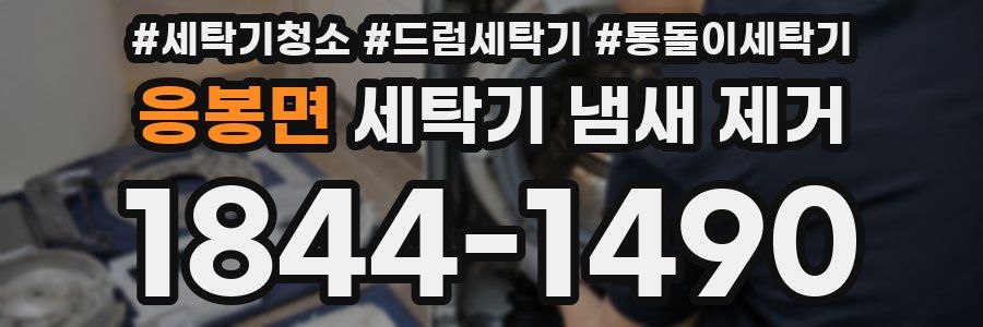 응봉면 세탁기 냄새 제거