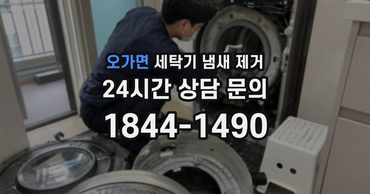 오가면 세탁기 냄새 제거