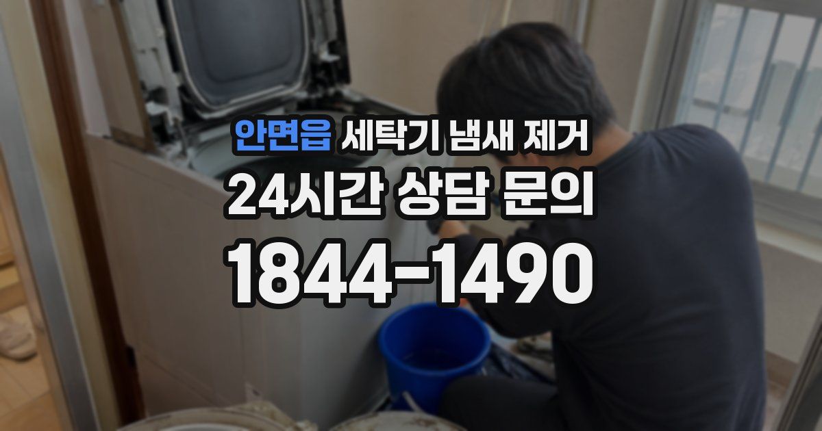 안면읍 세탁기 냄새 제거