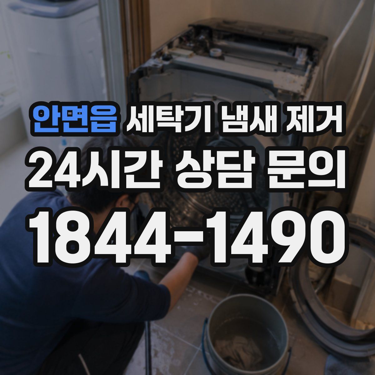 안면읍 세탁기 냄새 제거