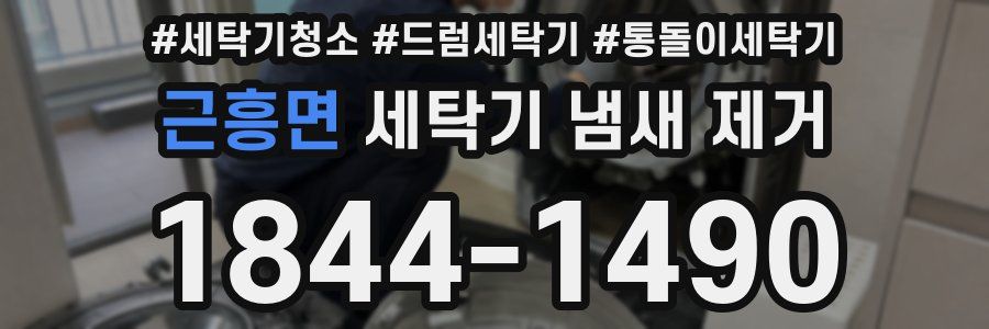근흥면 세탁기 냄새 제거