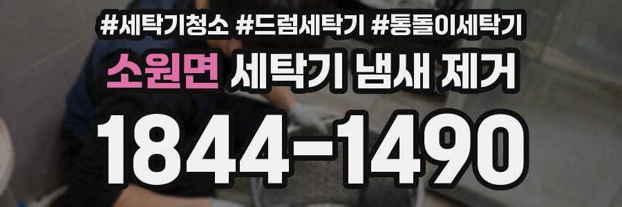 소원면 세탁기 냄새 제거