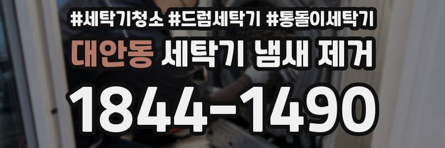 대안동 세탁기 냄새 제거