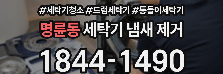 명륜동 세탁기 냄새 제거