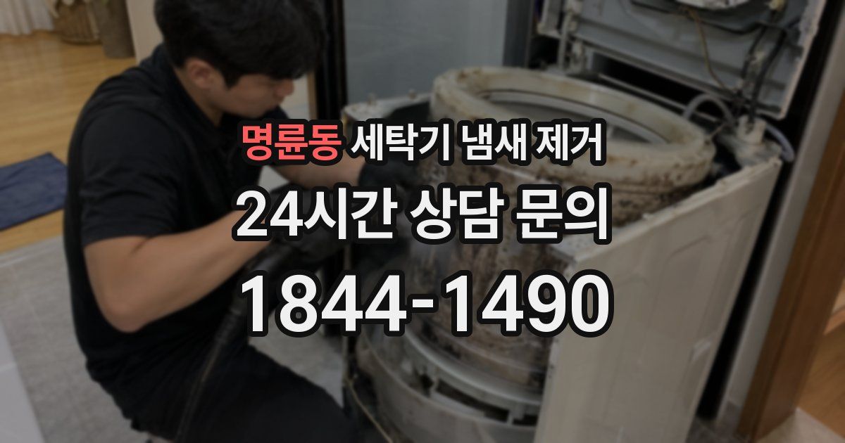 명륜동 세탁기 냄새 제거