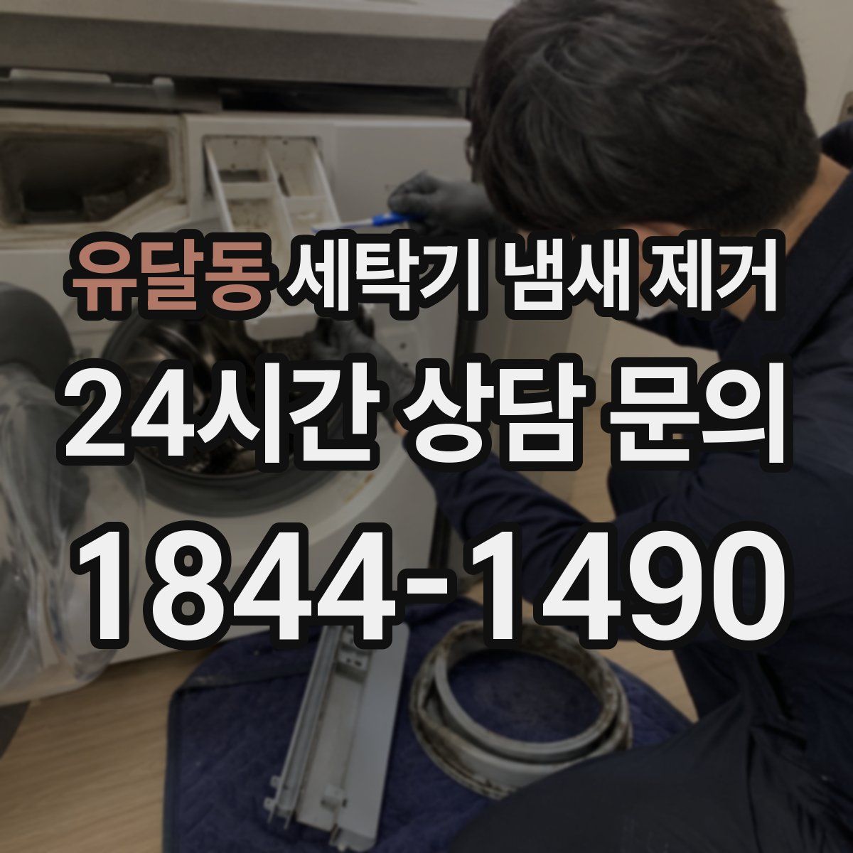 유달동 세탁기 냄새 제거