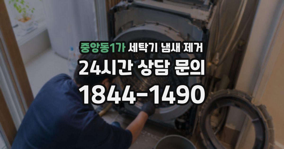 중앙동1가 세탁기 냄새 제거