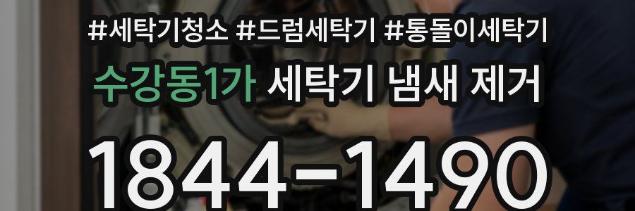 수강동1가 세탁기 냄새 제거