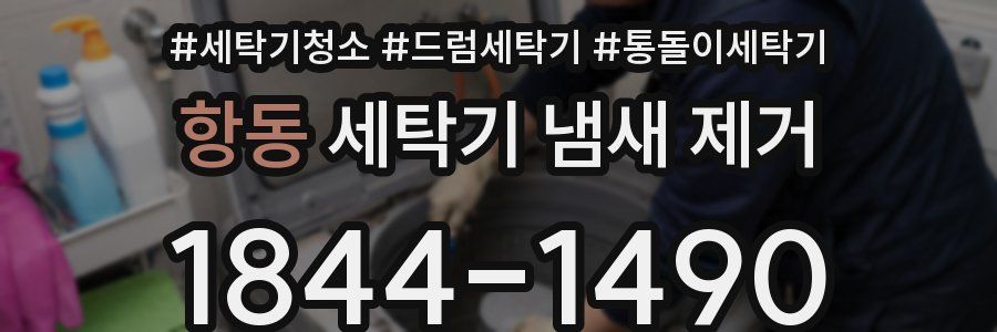 항동 세탁기 냄새 제거