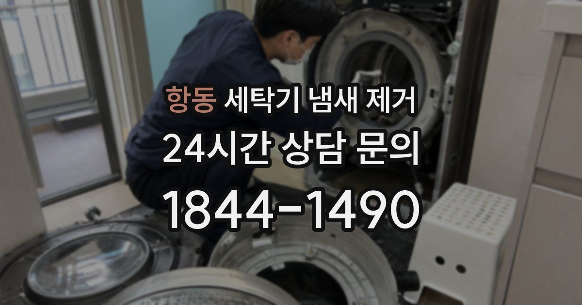 항동 세탁기 냄새 제거