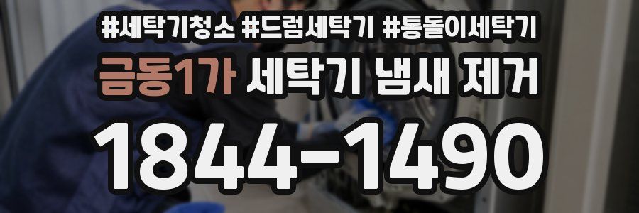 금동1가 세탁기 냄새 제거