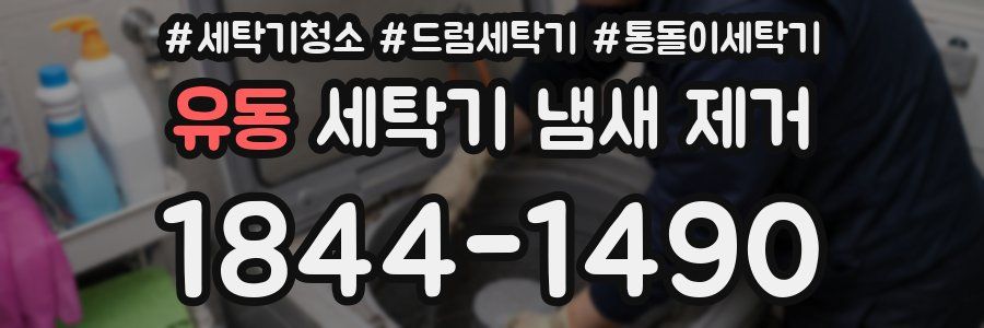 유동 세탁기 냄새 제거