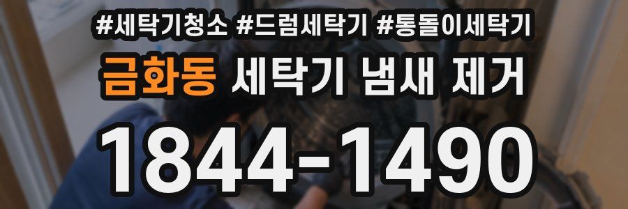 금화동 세탁기 냄새 제거