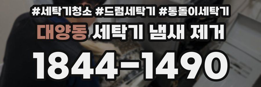 대양동 세탁기 냄새 제거