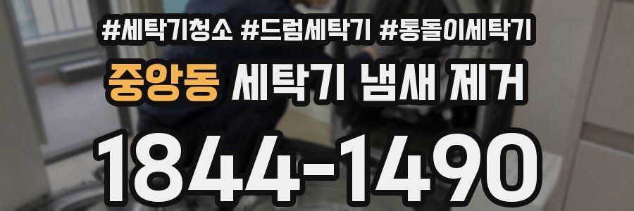 중앙동 세탁기 냄새 제거