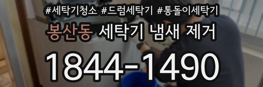 봉산동 세탁기 냄새 제거