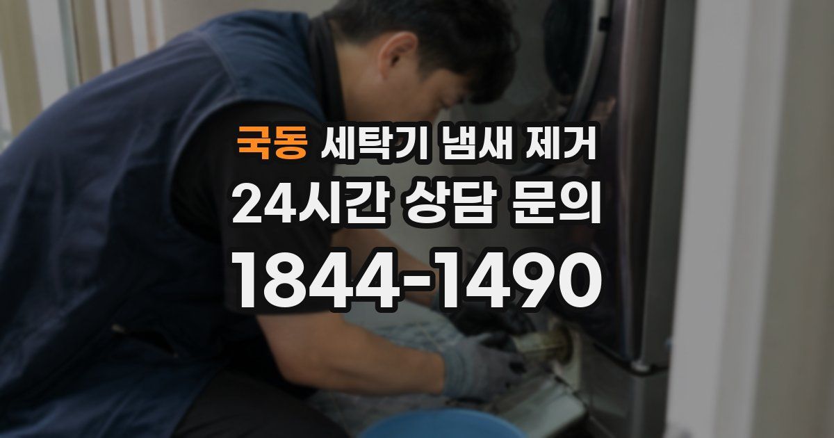 국동 세탁기 냄새 제거