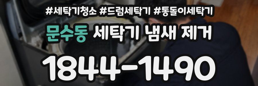 문수동 세탁기 냄새 제거