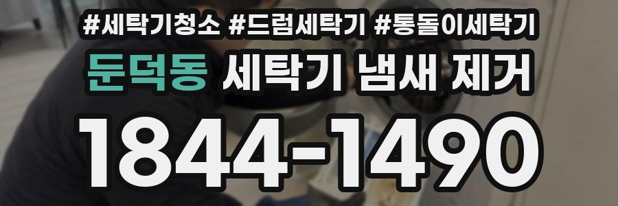 둔덕동 세탁기 냄새 제거